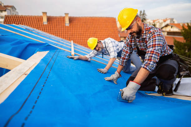 Best Sealant for Roof  in Merryville, LA