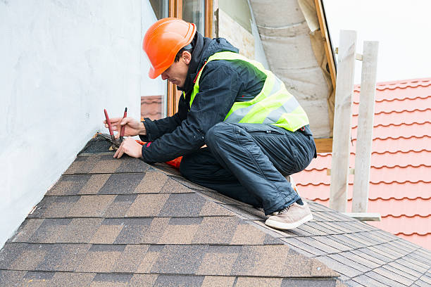 Best Roof Gutter Cleaning  in Merryville, LA